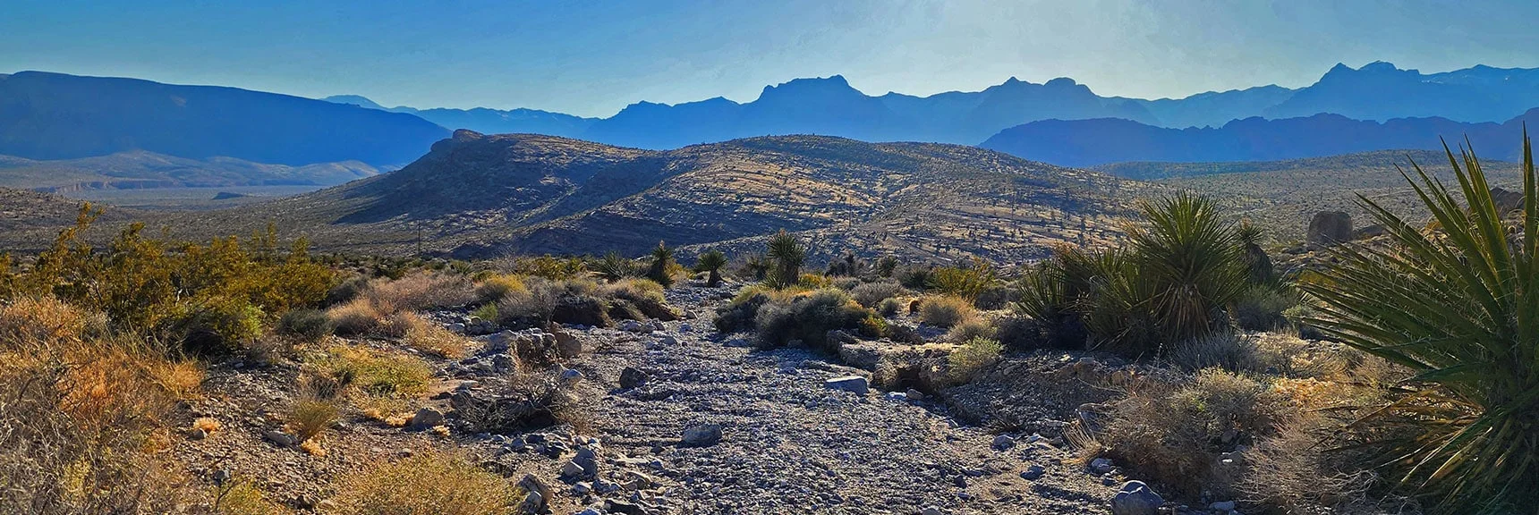 Calico Basin Peak 3844 is High Point on Hill Below.| Brownstone Trail | Calico Basin | Brownstone Basin | La Madre Mountains Wilderness, Nevada