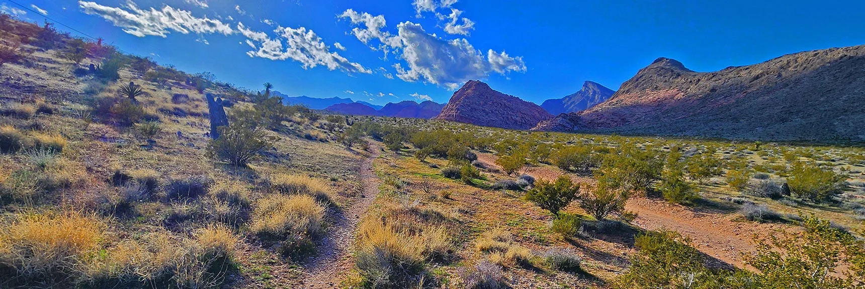 Narrow Trail Parallels Powerline Maintenance Road, Connects with Gene's Trail. | Gray Cap Ridge Southeast Summit | La Madre Mountains Wilderness, Nevada