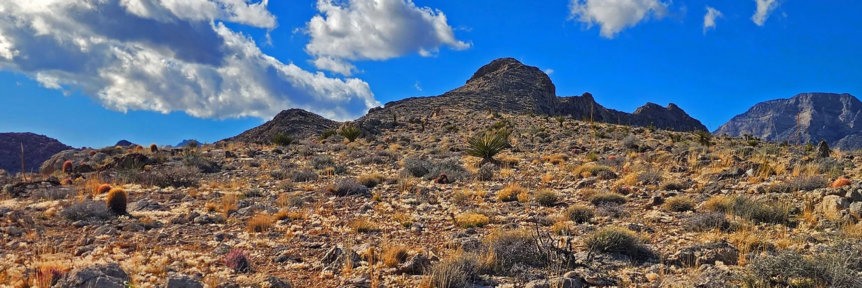 Easy, Fun Hike with Spectacular Views! | Trails Get You Almost to the Summit. | Gray Cap Ridge Southeast Summit | La Madre Mountains Wilderness, Nevada