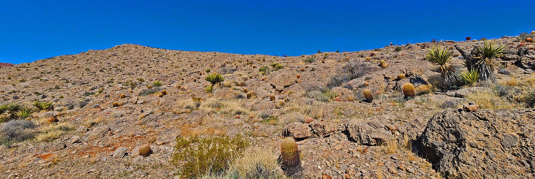 Arrival on Gray Cap Ridge Lower Saddle. Begin Ascending Ridge. | Gray Cap Ridge Southeast Summit | La Madre Mountains Wilderness, Nevada