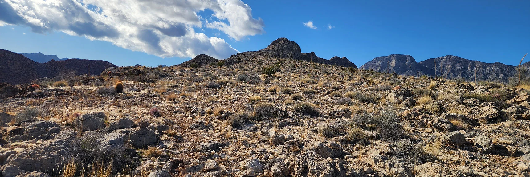 A Look Back to Southeast Summit. Looks Steeper from a Distance. | Gray Cap Ridge Southeast Summit | La Madre Mountains Wilderness, Nevada