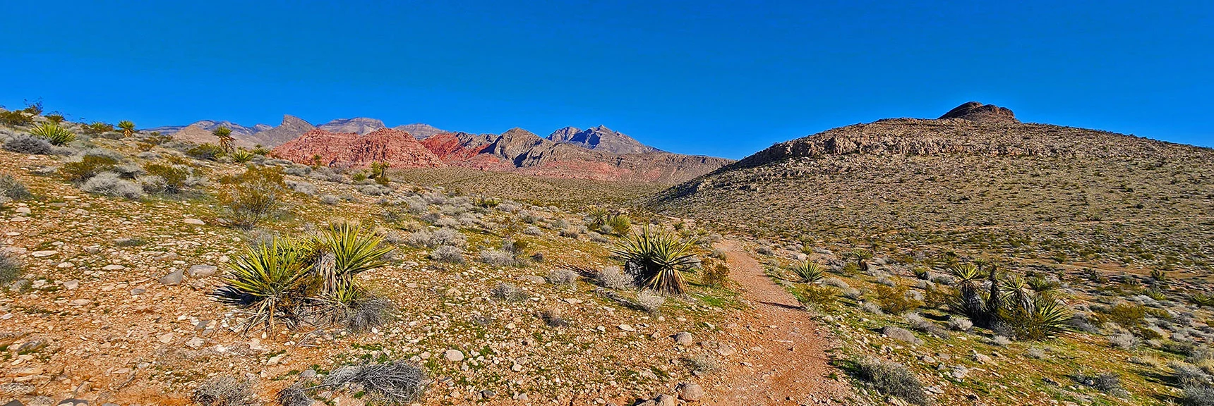 Circle the Right Side of Peak 3844. Ahead on Right. | Gray Cap Ridge Southeast Summit | La Madre Mountains Wilderness, Nevada