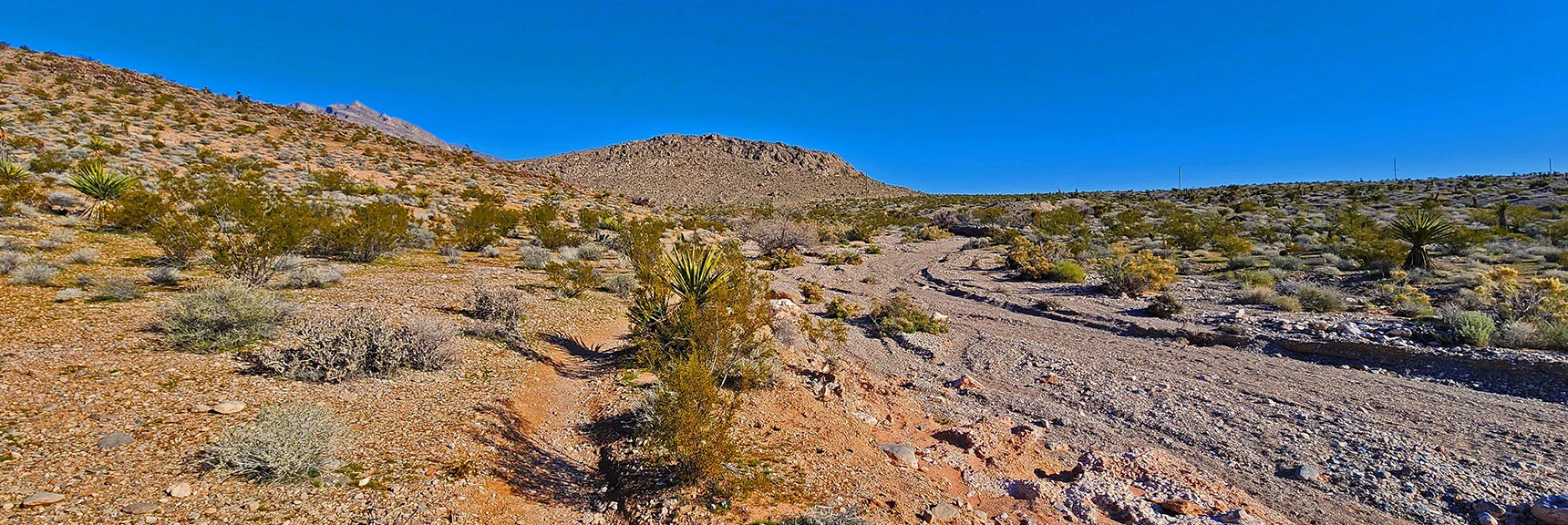 Half Wilson Trail Ends in a Brownstone Basin Wash. Skirt Right Base of Next Hill. | Gray Cap Ridge Southeast Summit | La Madre Mountains Wilderness, Nevada