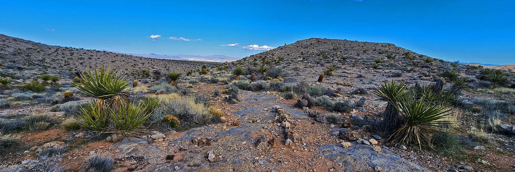 Arrival on the Lower Saddle. This is Where the Gray Cap Lower Ridgeline Trail Began. | Gray Cap Ridge Southeast Summit | La Madre Mountains Wilderness, Nevada