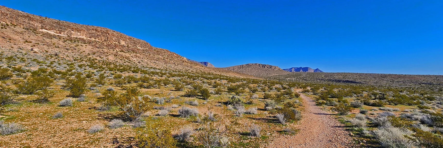 Skirt the Right Base of the Two Hills Ahead to Brownstone Basin. | Gray Cap Ridge Southeast Summit | La Madre Mountains Wilderness, Nevada