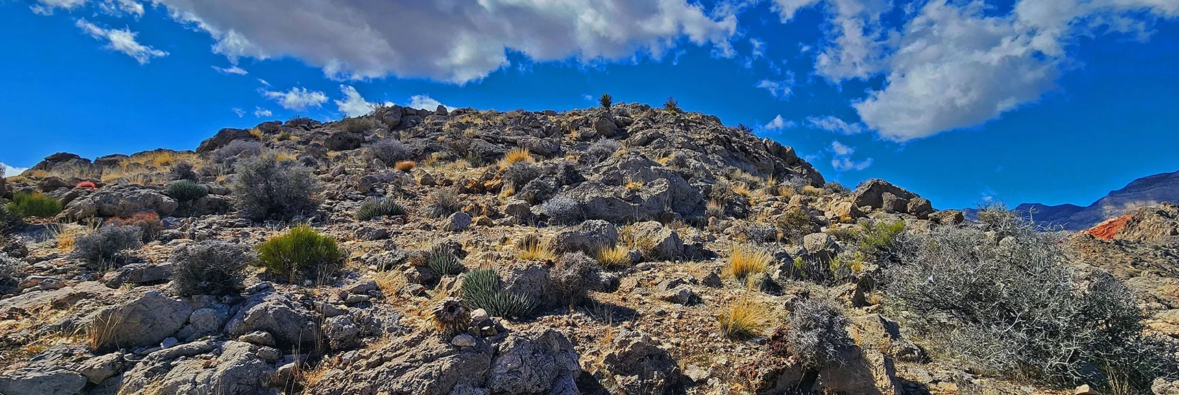 Ascending Final Approach to Southeast Summit. No Trail, But Easy Going. | Gray Cap Ridge Southeast Summit | La Madre Mountains Wilderness, Nevada