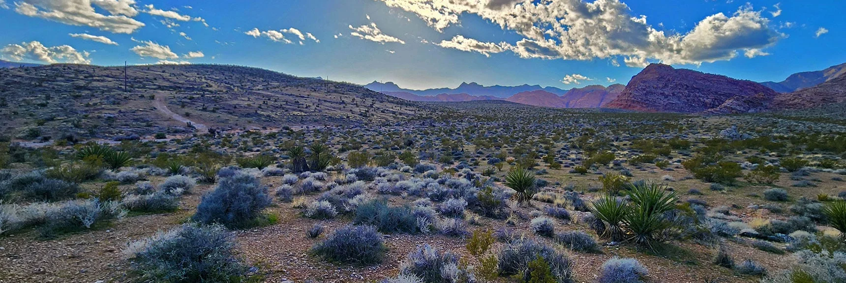 Will Return on North Side of Peak 3844 Hill (left). Kraft Mt. & Calico Hills Ahead to Right. | Gray Cap Ridge Southeast Summit | La Madre Mountains Wilderness, Nevada