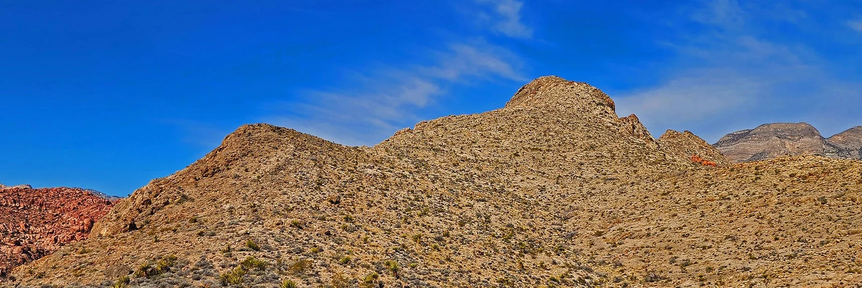Pass Survey Marker, Trail Ends, One More High Point, Before Southeastern Summit. | Gray Cap Ridge / Brownstone Basin Loop | La Madre Mountains Wilderness, Nevada