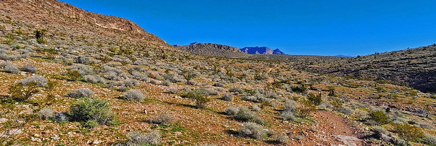 Continue Half Wilson Trail Around Right Base of Peak 3844 Hill and Next Hill Ahead. | Gray Cap Ridge / Brownstone Basin Loop | La Madre Mountains Wilderness, Nevada