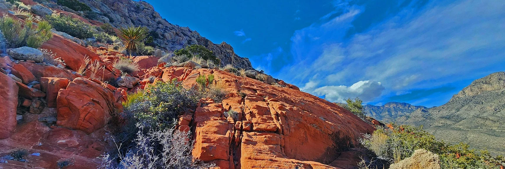 Weave Downward Through Beautiful Red Rock Stretch. | Gray Cap Ridge / Brownstone Basin Loop | La Madre Mountains Wilderness, Nevada