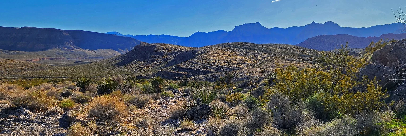 Navigating Back Toward Half Wilson Trail, Circles Left Side of Peak 3844 Hill Ahead. | Gray Cap Ridge / Brownstone Basin Loop | La Madre Mountains Wilderness, Nevada