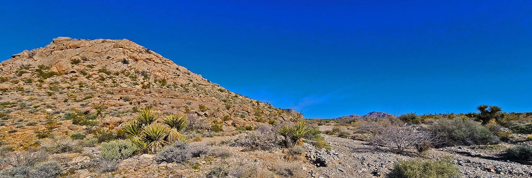 Round That Next Hill to Lower Gray Cap Ridge Saddle on Opposite Side. | Gray Cap Ridge / Brownstone Basin Loop | La Madre Mountains Wilderness, Nevada