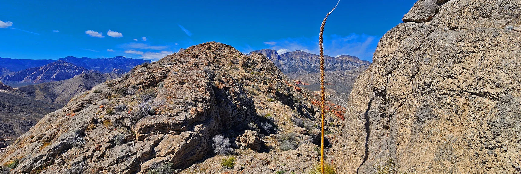 View Forward. Stay on Ridgeline Center, Navigate Next High Points. | Gray Cap Ridge / Brownstone Basin Loop | La Madre Mountains Wilderness, Nevada