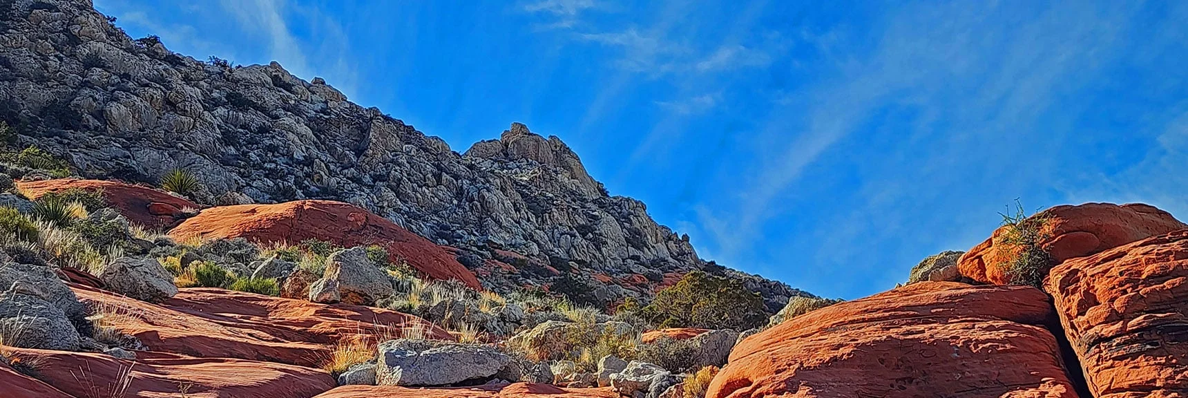 View Back Toward Gray Cap Peak Beyond High Point. | Gray Cap Ridge / Brownstone Basin Loop | La Madre Mountains Wilderness, Nevada