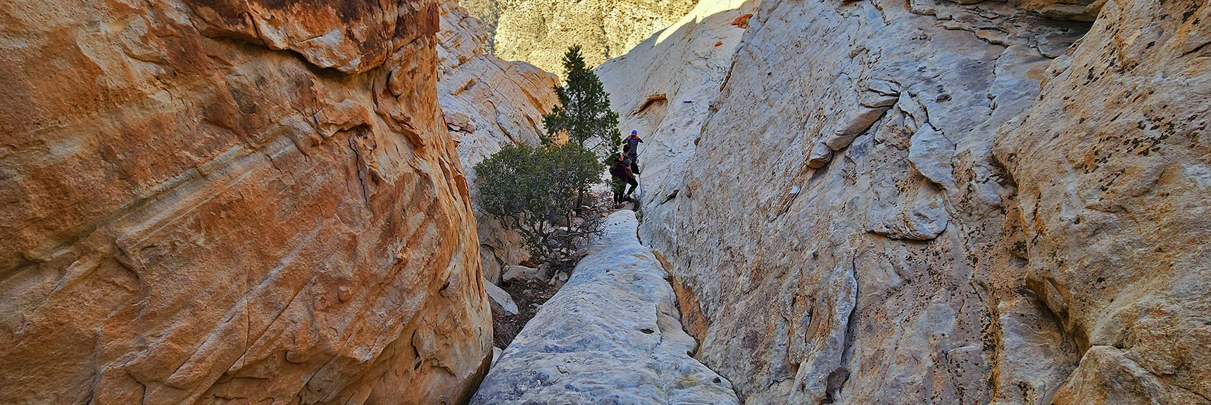Final Descent Slot. More Gradual. Lands on Rattlesnake Trail. Much Easier Summit Route. | Red Cap Peak Summit | Red Rock Canyon NCA, Nevada