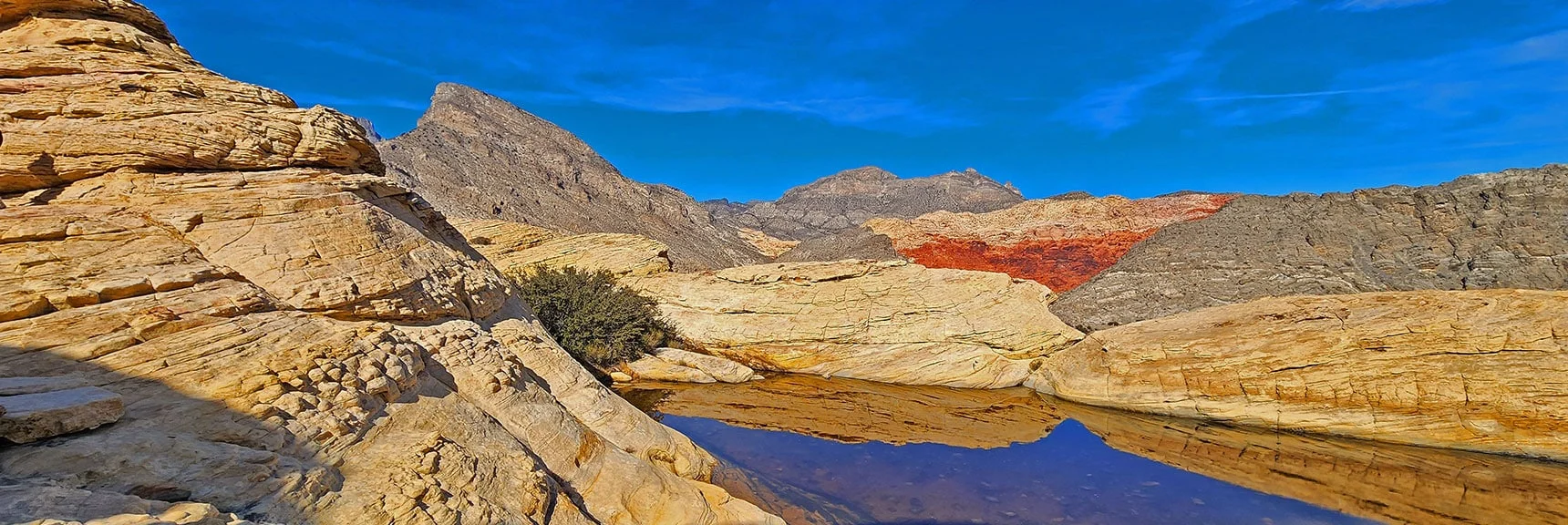 Beautiful Tinaja (Ephemeral Pool) on This High Plateau Stretch. | Red Cap Peak Summit | Red Rock Canyon NCA, Nevada