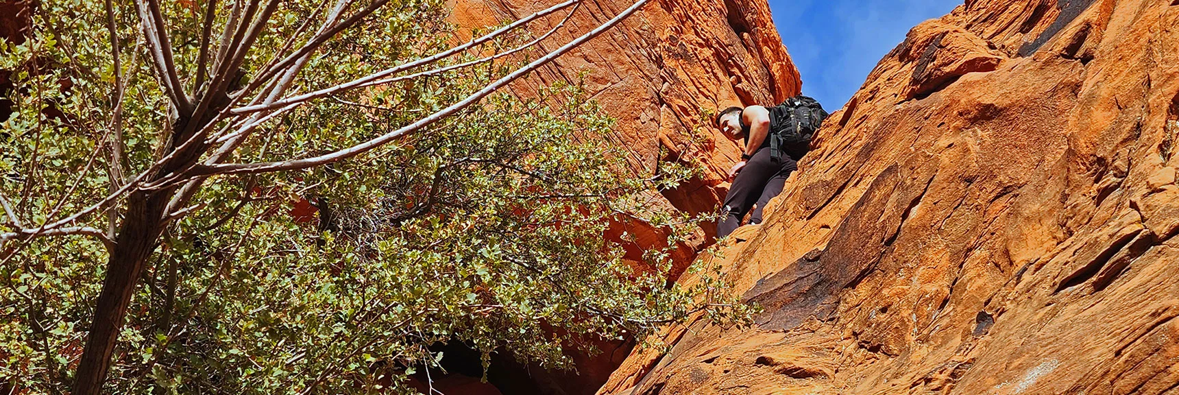 Brush Can Make the Steepest Inclines More Challenging. | Red Cap Peak Summit | Red Rock Canyon NCA, Nevada