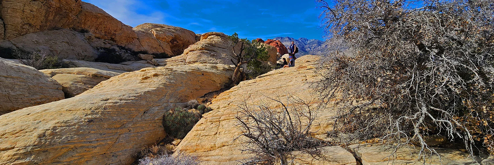 Another More Restful, Level Stretch. Red Cap Peak in Background. | Red Cap Peak Summit | Red Rock Canyon NCA, Nevada