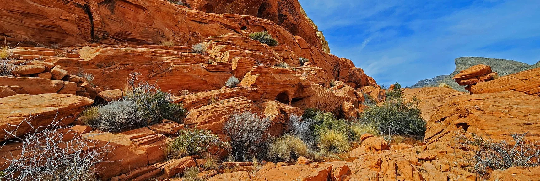 Here's a Nice Restful Stretch, But Look Out Ahead! | Red Cap Peak Summit | Red Rock Canyon NCA, Nevada