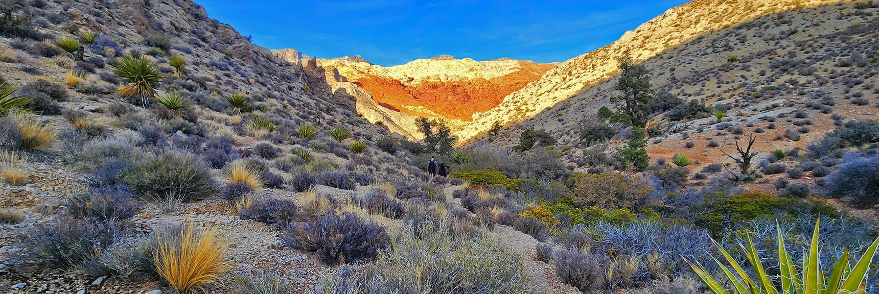 Descending Rattlesnake Gulch Toward Gateway Canyon Below. | Red Cap Peak Summit | Red Rock Canyon NCA, Nevada