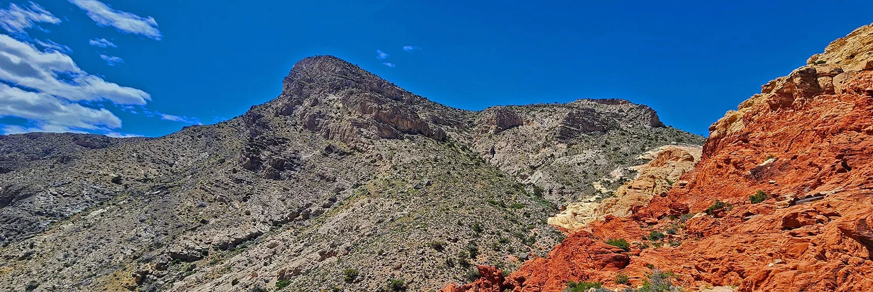 View Back to Turtlehead Peak. It's a Different Look from This Perspective | Gateway Canyon, Gray Cap Ridge, Brownstone Basin | Calico & Brownstone Basins, Nevada