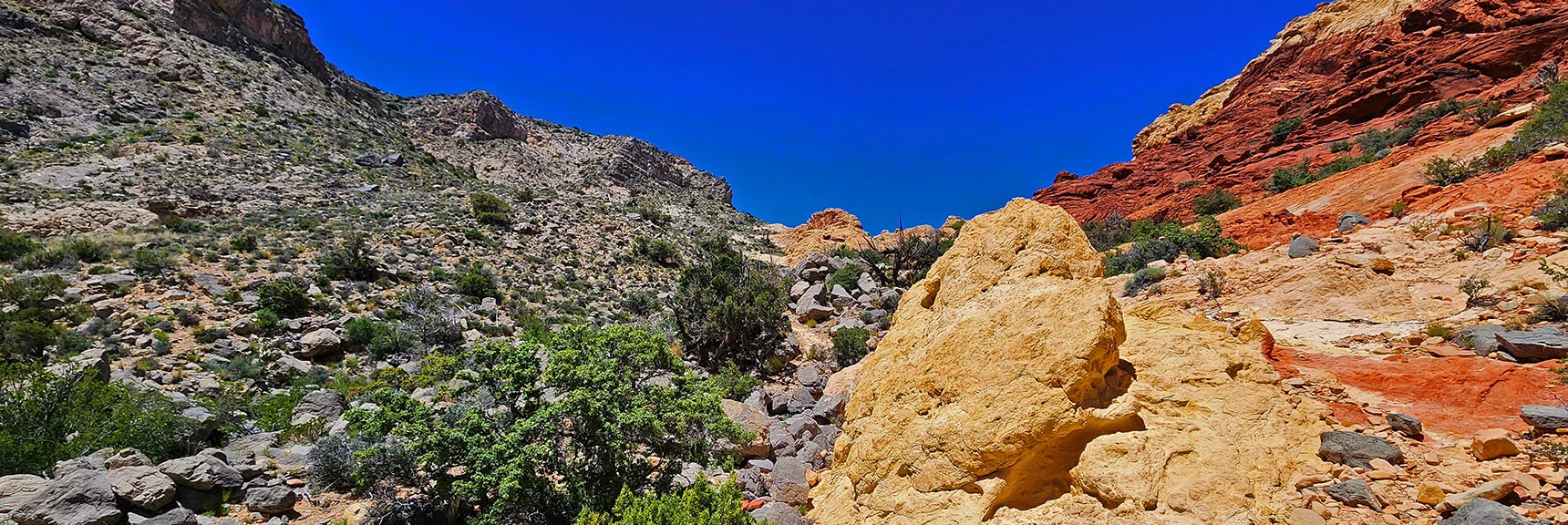 Emerging Now into the Sandstone Area Above Gateway Canyon | Gateway Canyon, Gray Cap Ridge, Brownstone Basin | Calico & Brownstone Basins, Nevada