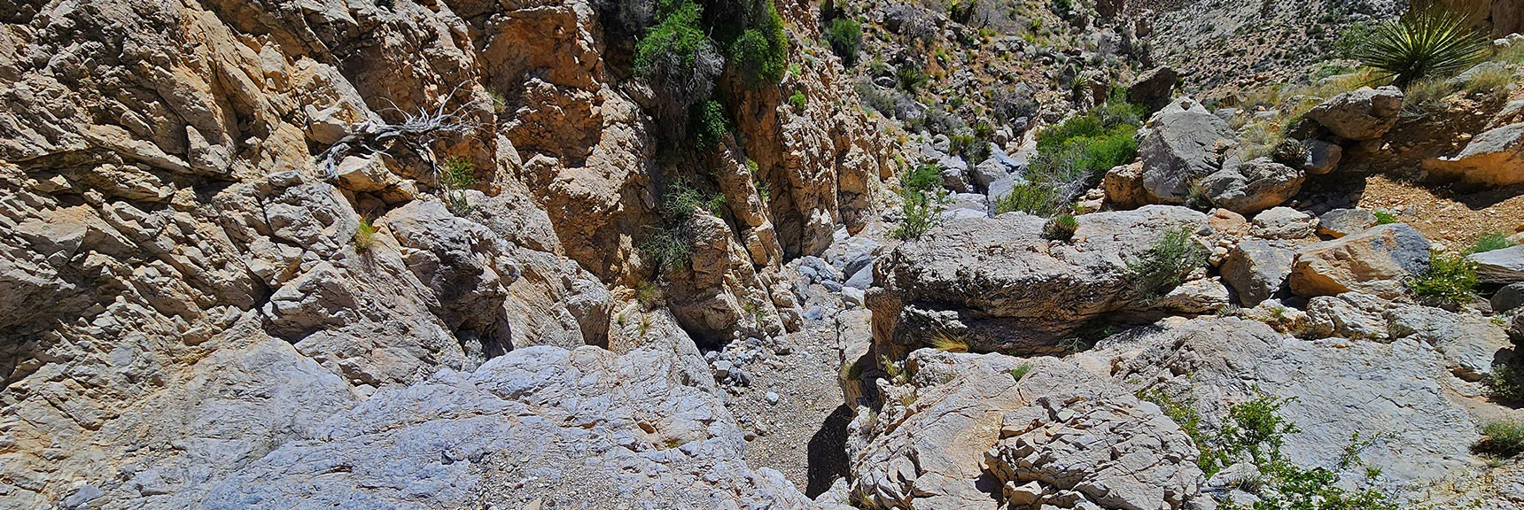 Looking Back from the Summit of That Dry Fall | Gateway Canyon, Gray Cap Ridge, Brownstone Basin | Calico & Brownstone Basins, Nevada