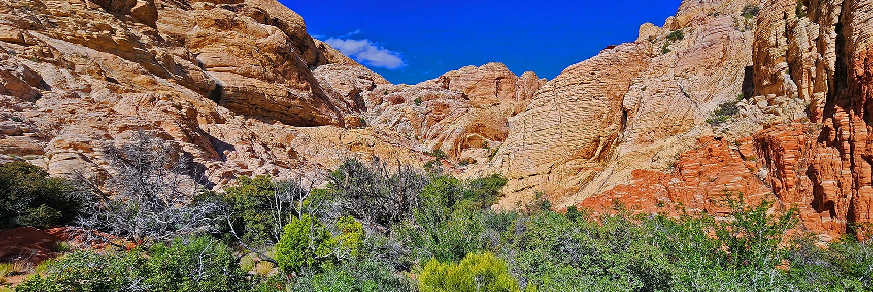 Exploring Gray Cap Ridge Area. Surprisingly Large! | Gateway Canyon, Gray Cap Ridge, Brownstone Basin | Calico & Brownstone Basins, Nevada
