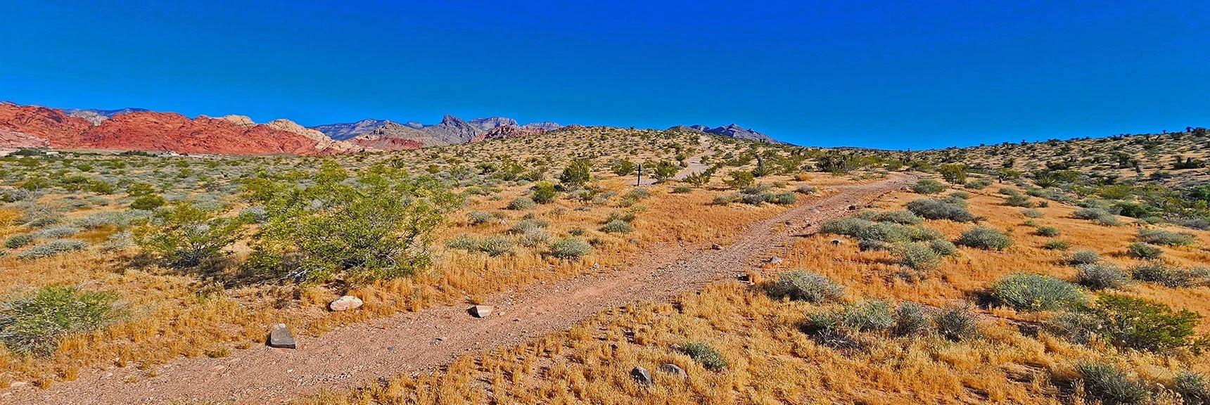 Ascend Gene's Trail Toward Gateway Canyon | Gateway Canyon, Gray Cap Ridge, Brownstone Basin | Calico & Brownstone Basins, Nevada
