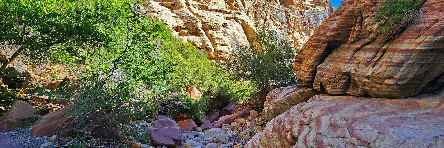 A Few More Corners to Round Before Terrain Opens Up a Bit | Rainbow Mt via Pine Creek & Oak Creek Canyons, Nevada