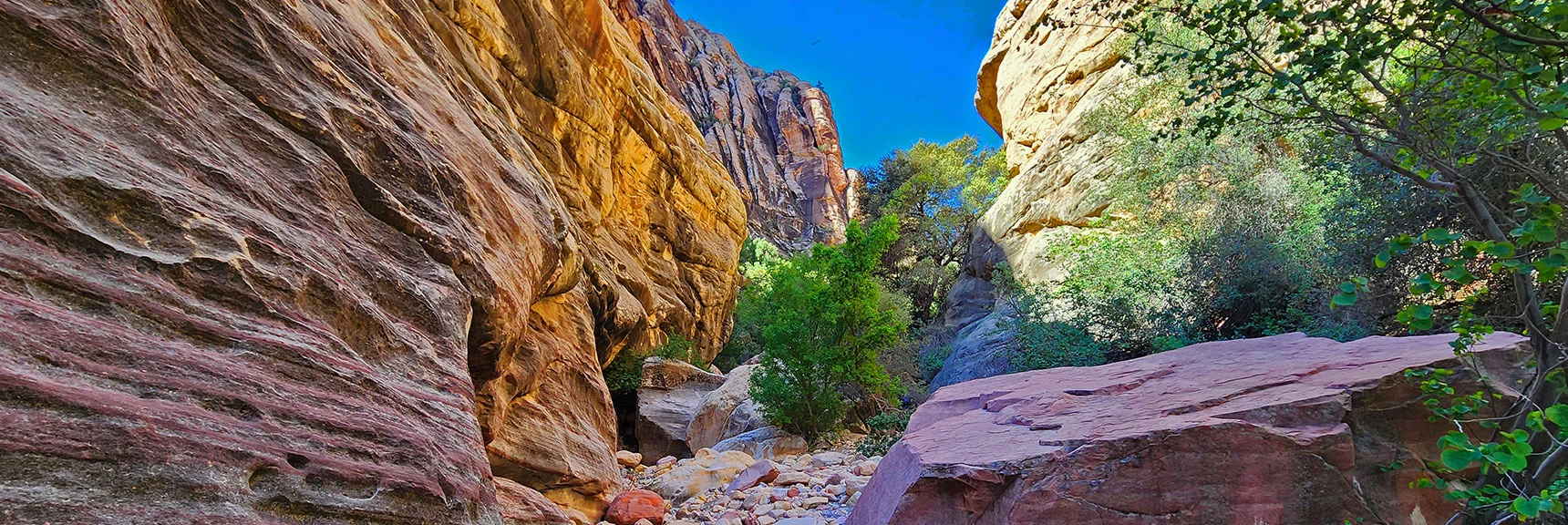 Canyon Narrows Between Towering Walls. Juniper Peak Area to Left | Rainbow Mt via Pine Creek & Oak Creek Canyons, Nevada