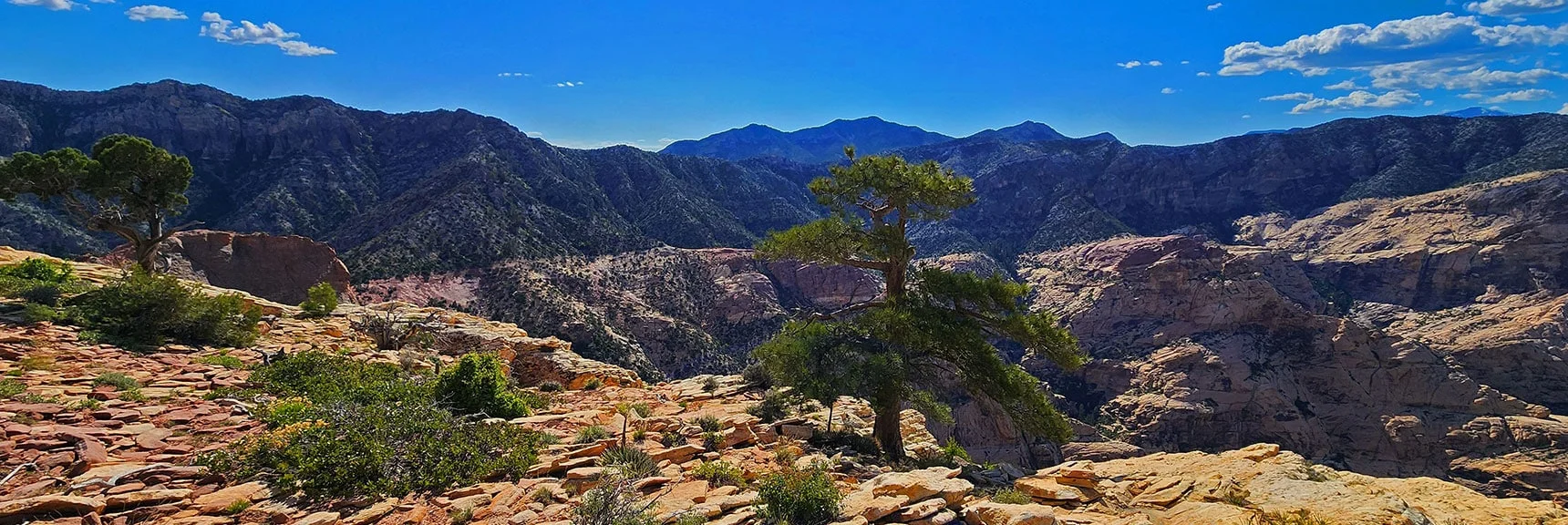 Upper Crest Ridgeline Stretching to the North. Wilson Ridge Far Background. | Rainbow Mt via Pine Creek & Oak Creek Canyons, Nevada