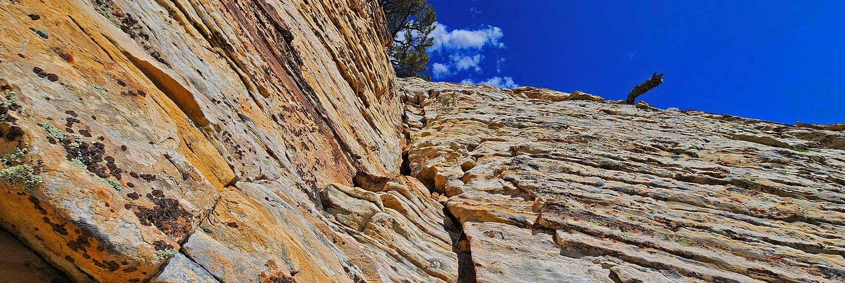 Steep Crack Toward Rainbow Wall Summit. Good Anchoring. | Rainbow Mt via Pine Creek & Oak Creek Canyons, Nevada