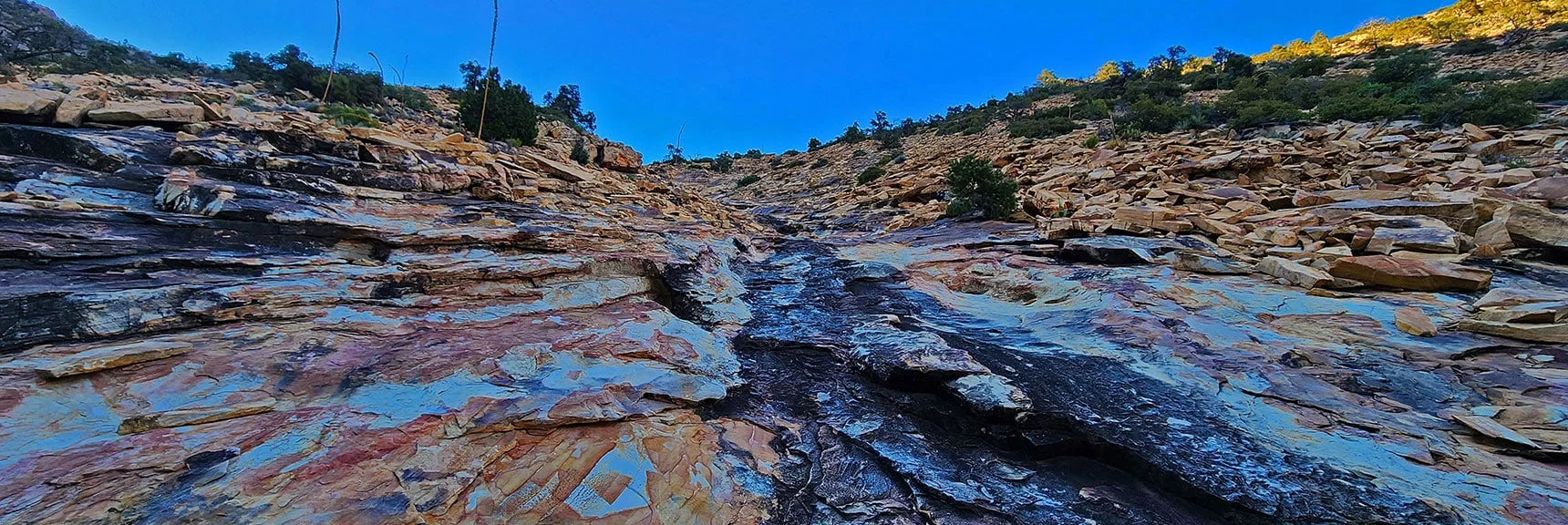View Back Upward Toward the Rainbow Mt. Saddle Just Descended | Rainbow Mt via Pine Creek & Oak Creek Canyons, Nevada
