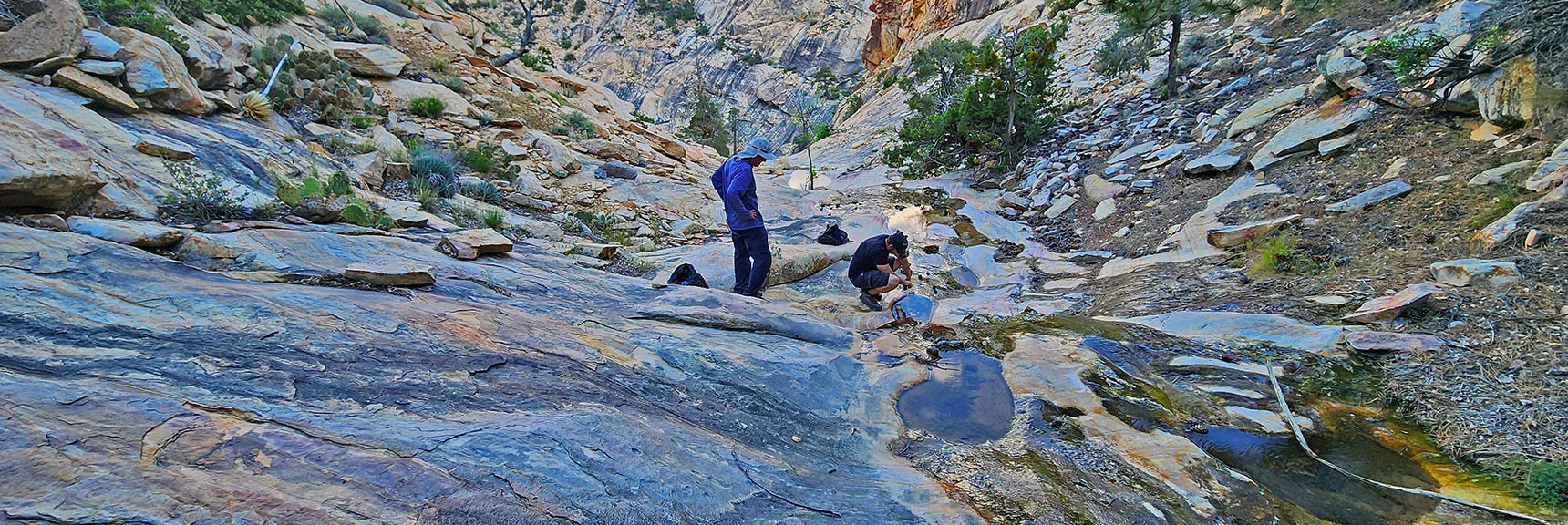 Oak Creek Pools Provide Much Needed Water (this during May) | Rainbow Mt via Pine Creek & Oak Creek Canyons, Nevada