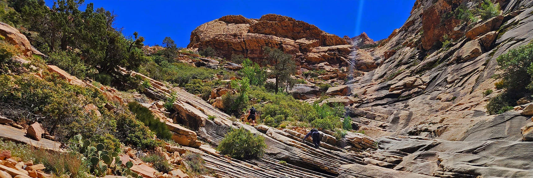 Angle of Incline Increasing. | Rainbow Mt via Pine Creek & Oak Creek Canyons, Nevada