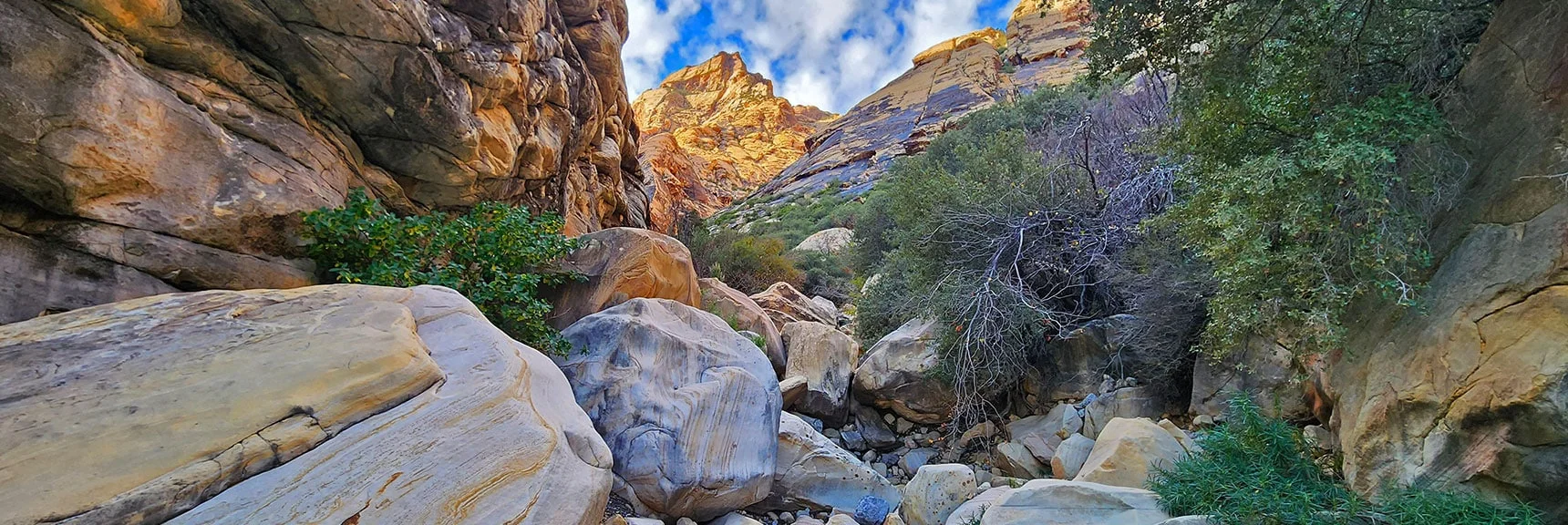 View Up Oak Creek Canyon | Rainbow Mt via Pine Creek & Oak Creek Canyons, Nevada
