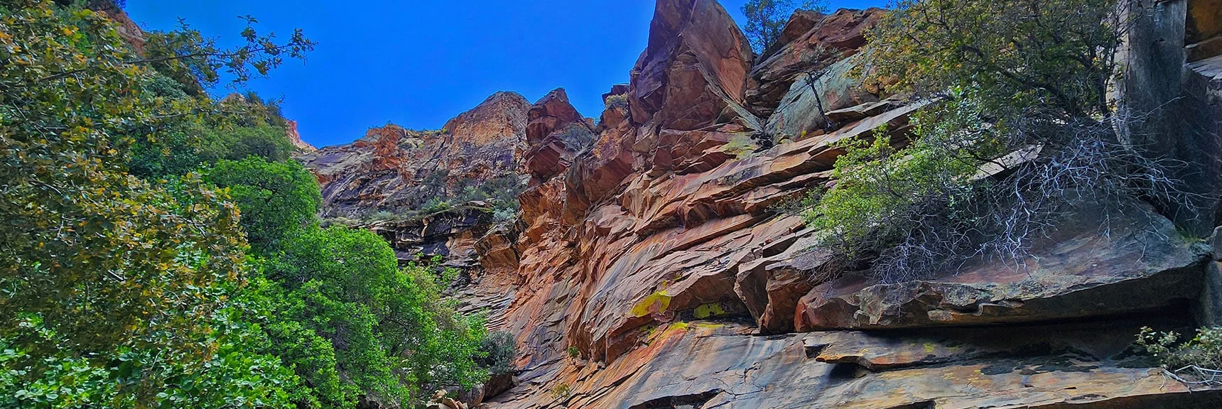 The Most Dramatic Ascent Begins Around the Next Bend. | Rainbow Mt via Pine Creek & Oak Creek Canyons, Nevada
