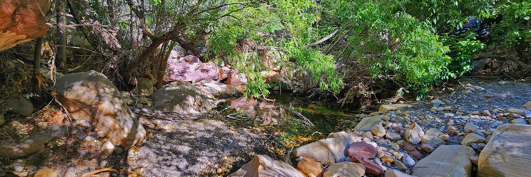 Beautiful Shaded Terrain with Flowing Creek. Possible to Keep Feet Dry. | Rainbow Mt via Pine Creek & Oak Creek Canyons, Nevada