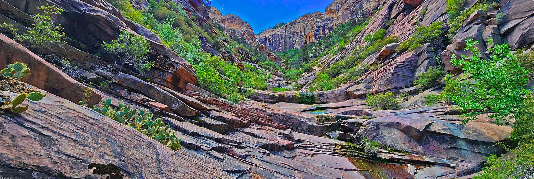Entering Terrace Canyon | Rainbow Mt via Pine Creek & Oak Creek Canyons, Nevada