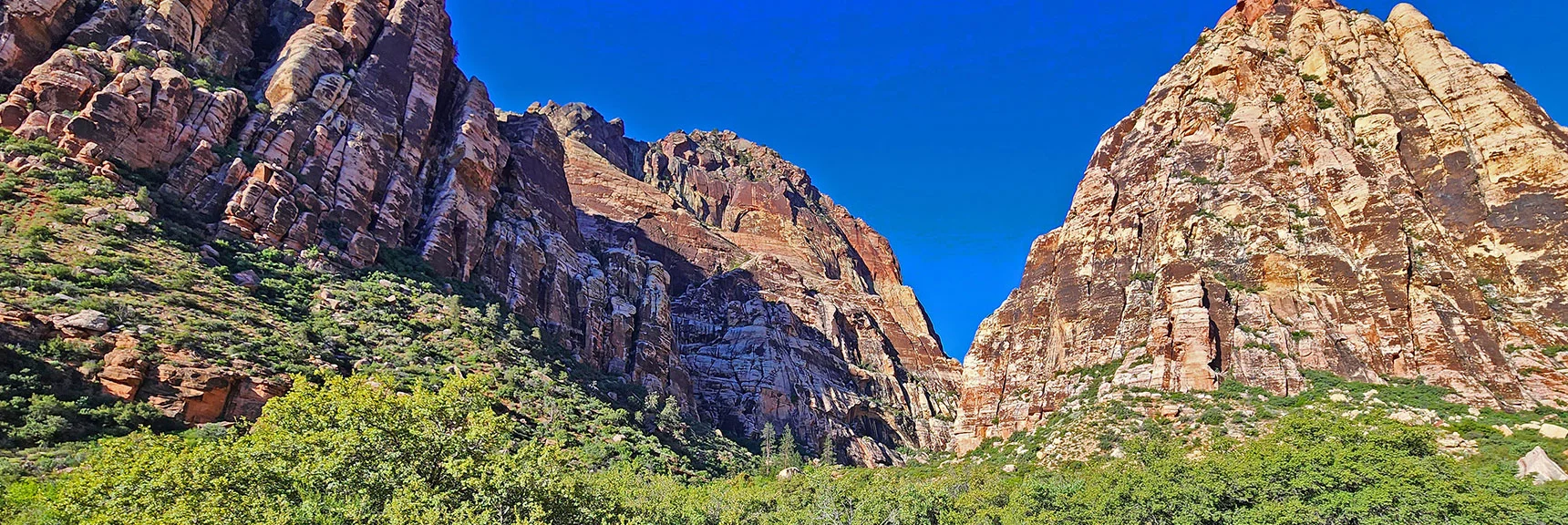 Navigate into the South Fork of Pine Creek Canyon. Trail is Sketchy. | Rainbow Mt via Pine Creek & Oak Creek Canyons, Nevada