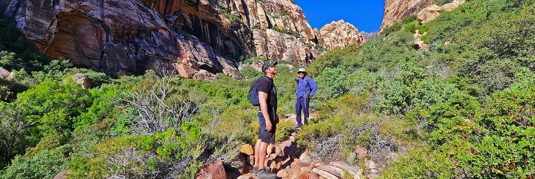 Enter South Fork Lower Opening | Rainbow Mt via Pine Creek & Oak Creek Canyons, Nevada