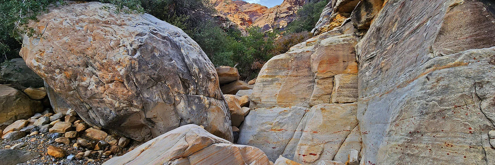 Nearly Continual Boulders, Brush and Ledges. | Rainbow Mt via Pine Creek & Oak Creek Canyons, Nevada