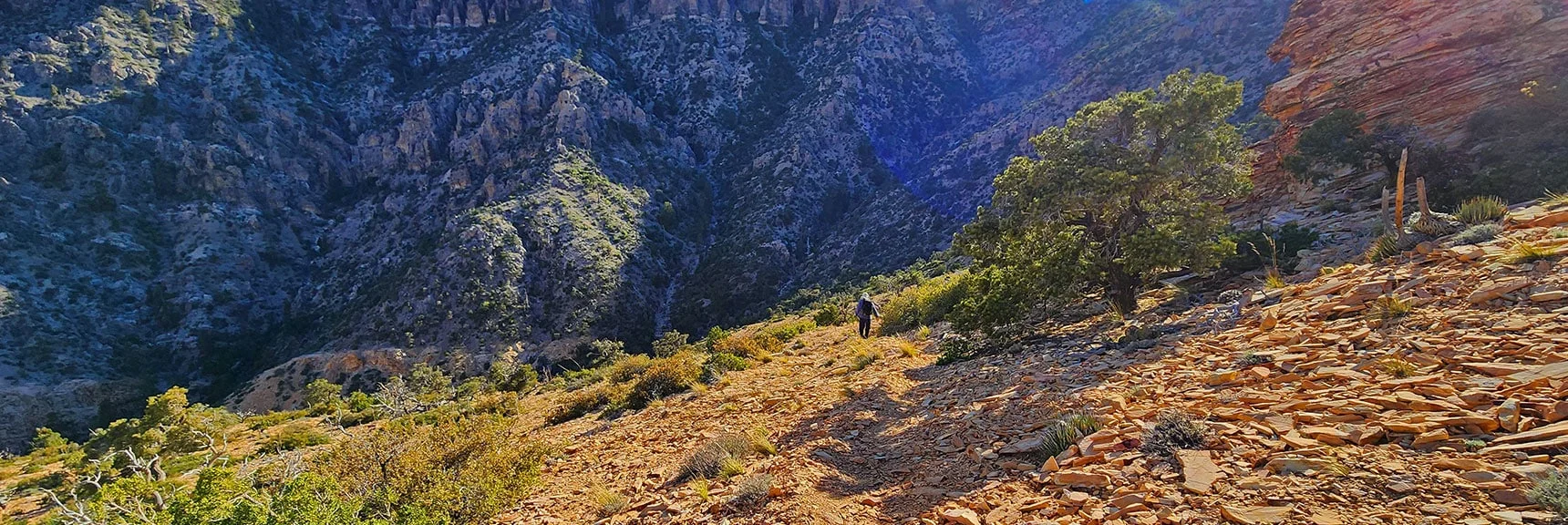 Trail Guides Descent to Upper Oak Creek Canyon | Rainbow Mt via Pine Creek & Oak Creek Canyons, Nevada