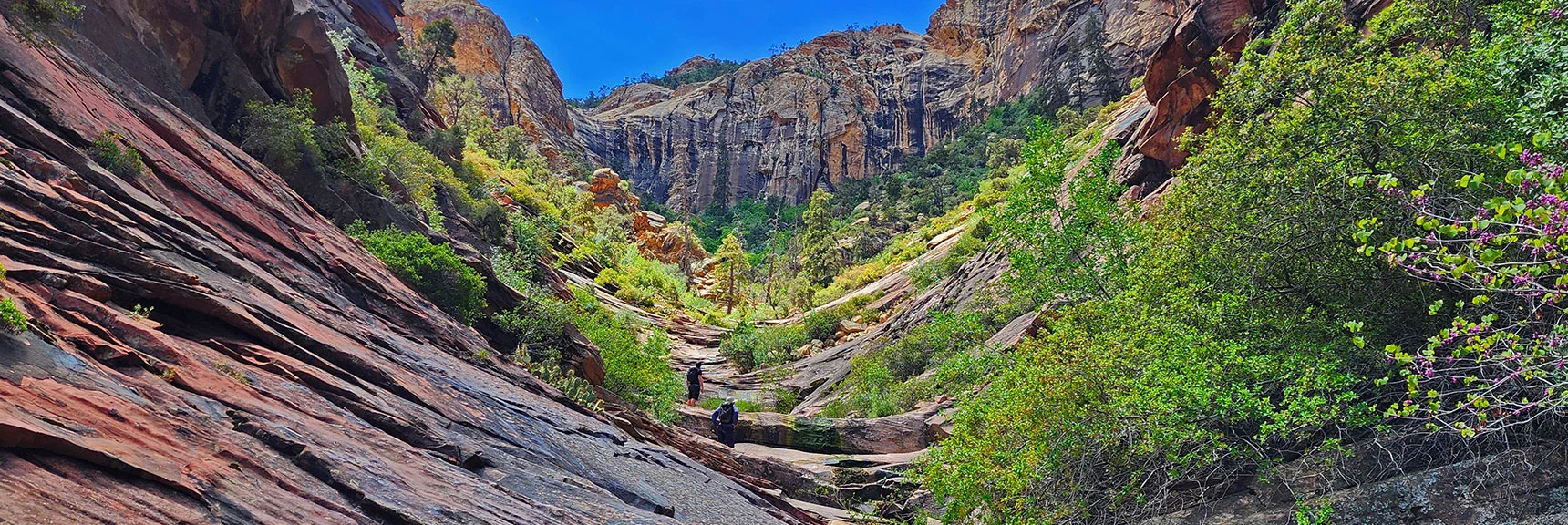 This is One of the Most Beautiful Stretches in the Rainbow Mountains. | Rainbow Mt via Pine Creek & Oak Creek Canyons, Nevada
