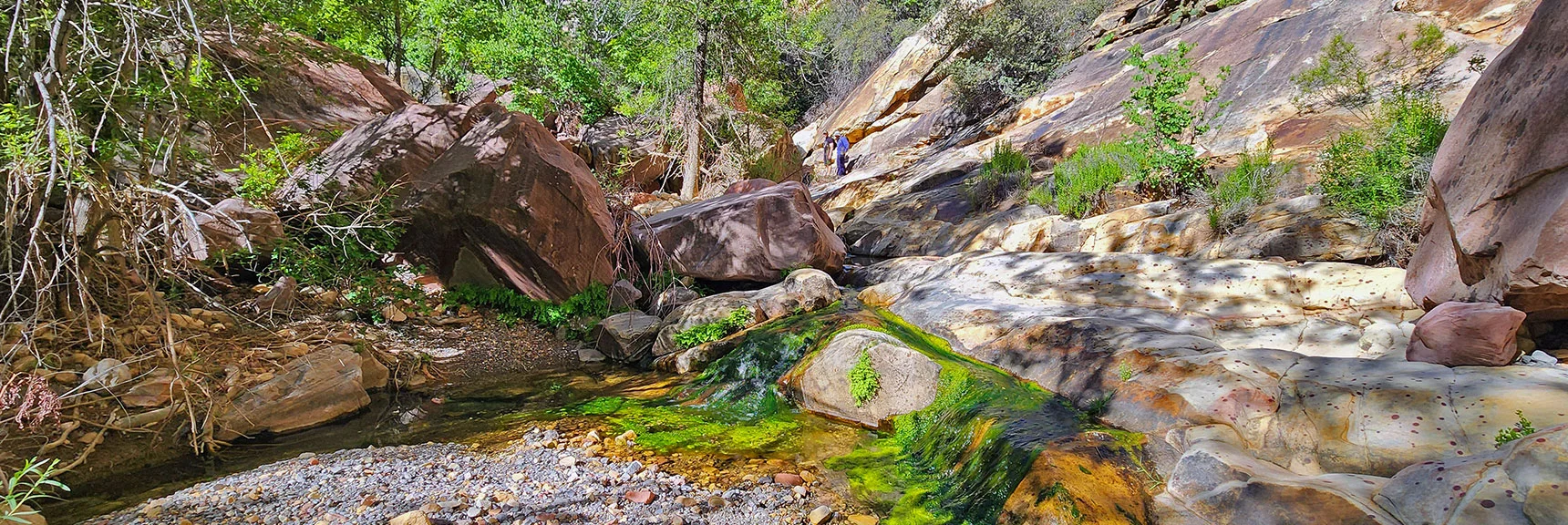 Will Cross Creek Many Times in Lower Pine Creek Canyon. | Rainbow Mt via Pine Creek & Oak Creek Canyons, Nevada
