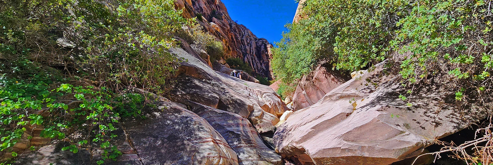 Continue Up the Canyon as Boulders Become Huge Sandstone Slabs. | Rainbow Mt via Pine Creek & Oak Creek Canyons, Nevada