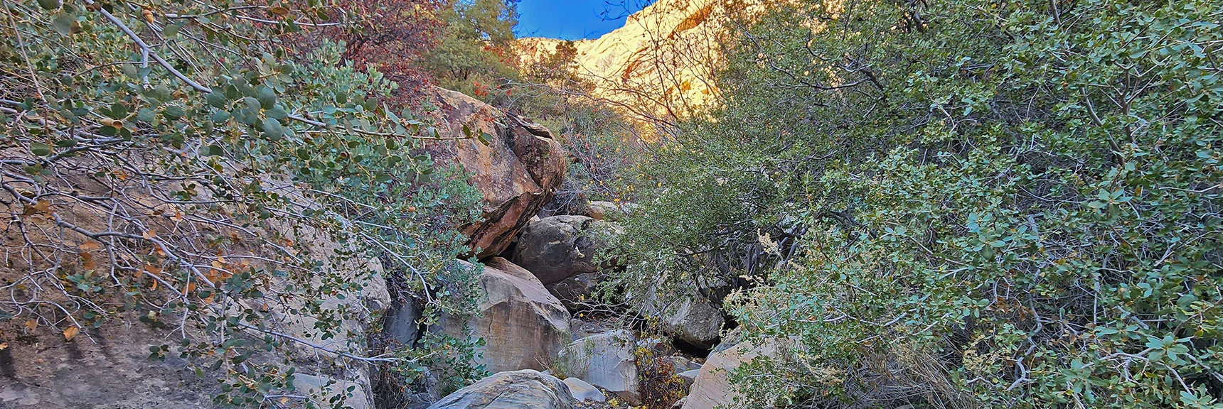 Add Extra Route Finding Time Through Huge Boulders, Ledges and Thick Brush. | Rainbow Mt via Pine Creek & Oak Creek Canyons, Nevada