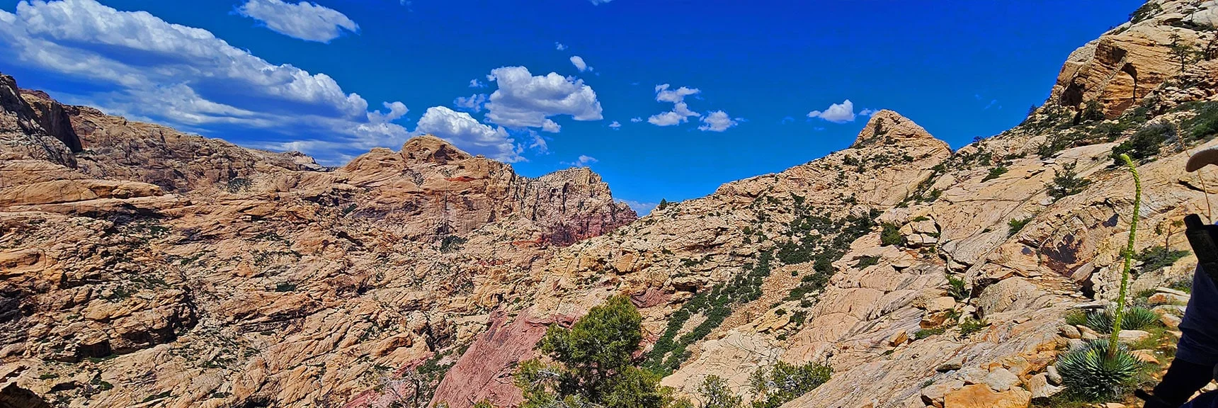As the Terrain Opens Look Across the Canyon to Recognize Bridge Mountain | Rainbow Mt via Pine Creek & Oak Creek Canyons, Nevada