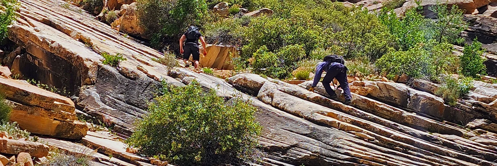 Some Class 3 Scrambling Ahead! | Rainbow Mt via Pine Creek & Oak Creek Canyons, Nevada